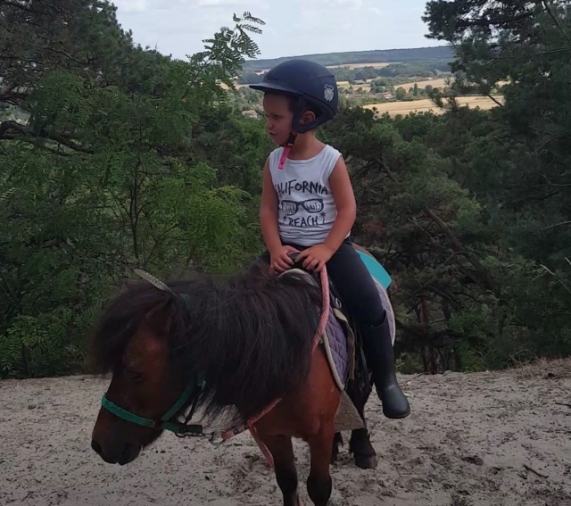 Pequeño pony adaptado al tamaño y edad de su hijo 