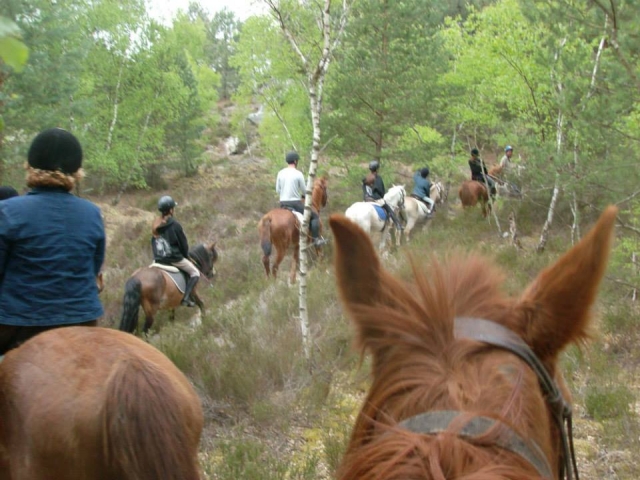Pbaños a caballo con un instructor en el Parque del Gâtinais
