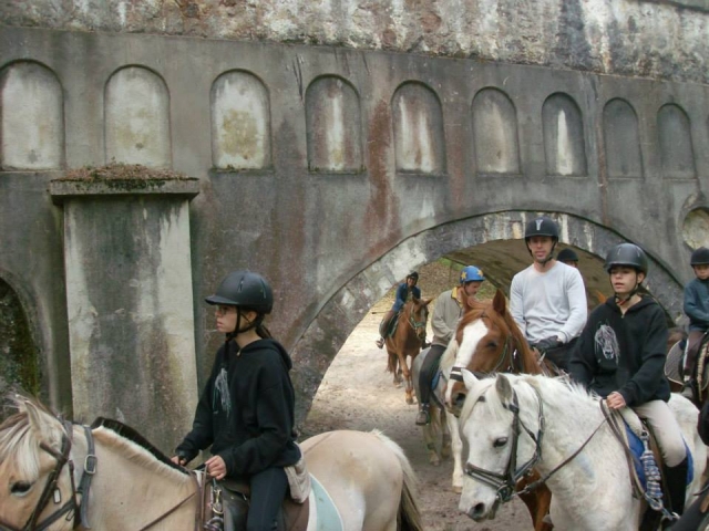 Inmersión en la naturaleza duranle su excursión a caballo