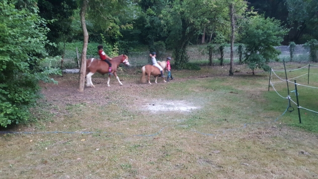  Paseo en pony en Essonne 