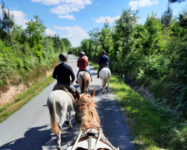  Pbaños a caballo duranle un hermoso día de primavera en Maine-et- Loira 