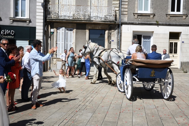  Paseo en carruaje para boda 