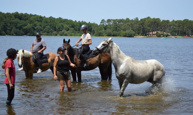  Pbaños a caballo en la región de Entre-deux-Mers