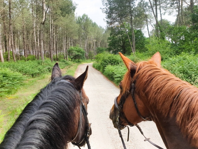 De camino para un paseo a caballo en Castelviel 