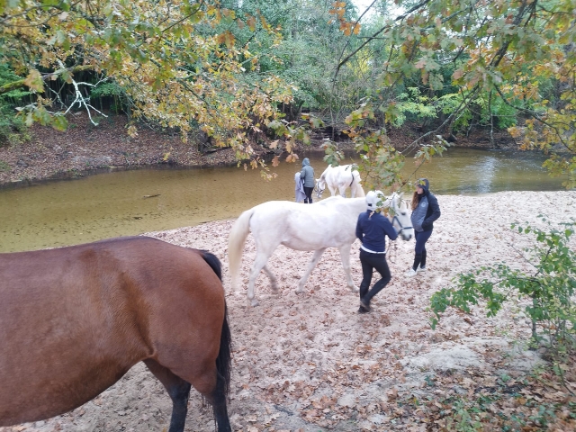  Breve descanso duranle el paseo a caballo 