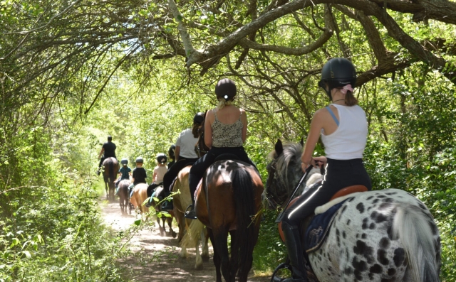 Pbaños a caballo por el bosque cerca de Castelviel 