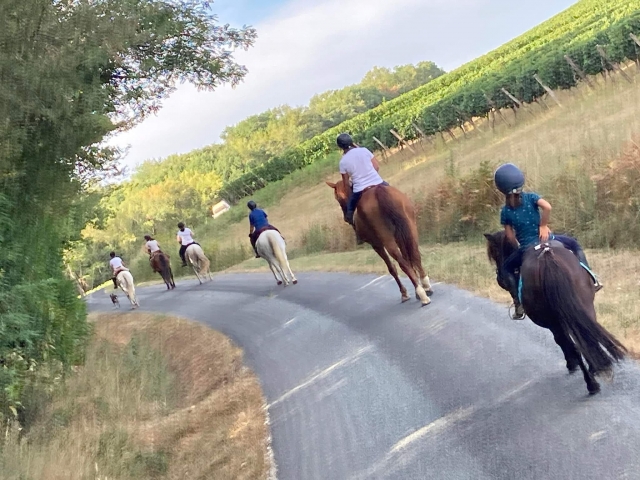  De camino para descubrir la Gironda a caballo