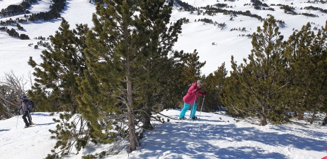  Rutas con raquetas de nieve para todos 