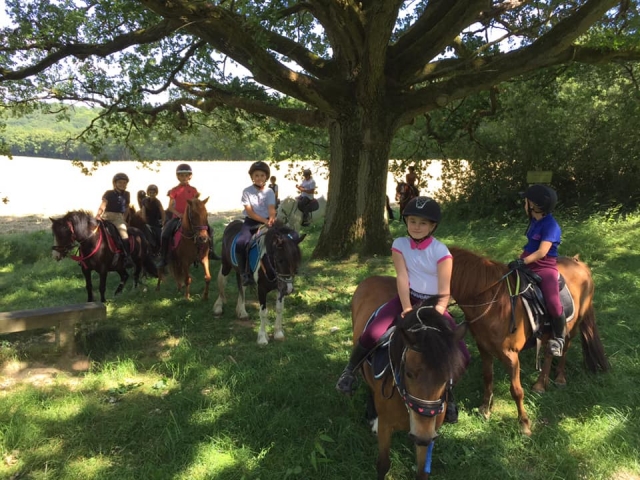  Pbaños a caballo por los prados en primavera 