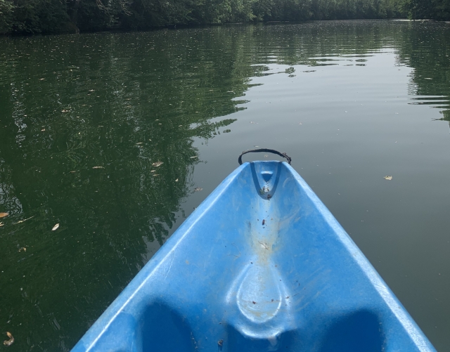  Descenso en kayak por el campo.