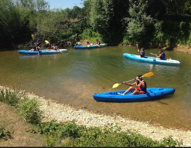 Descenso en kayak hasta Tonnerre - 14 km