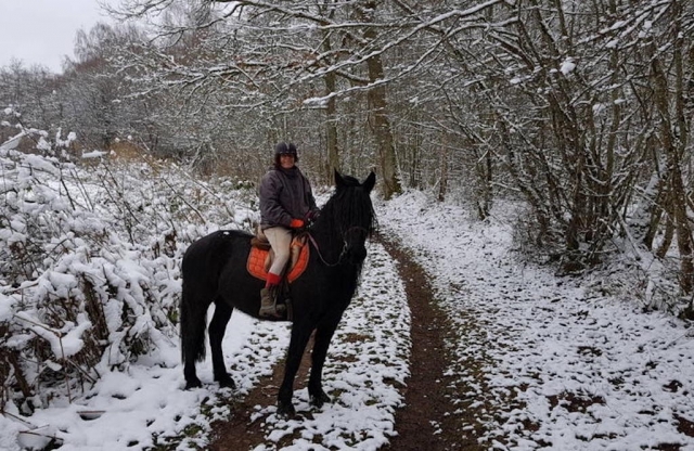  Balade à cheval dans la nieve
