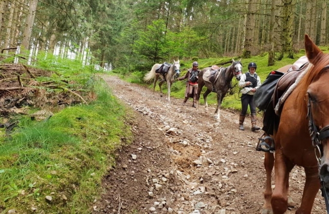  Chemin forestier avec dénivelé 