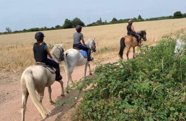  Randonnée à cheval en groupe 