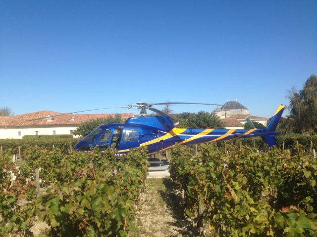 Helicóptero entre viñedos
