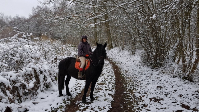  Pbaños a caballo en invierno 