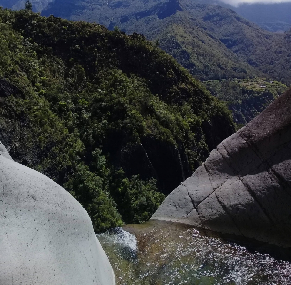  El Cañón Fleurs Jaunes en Reunión