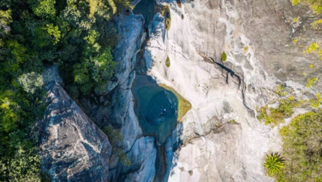  Vista desde un dron sobre la flor amarilla 