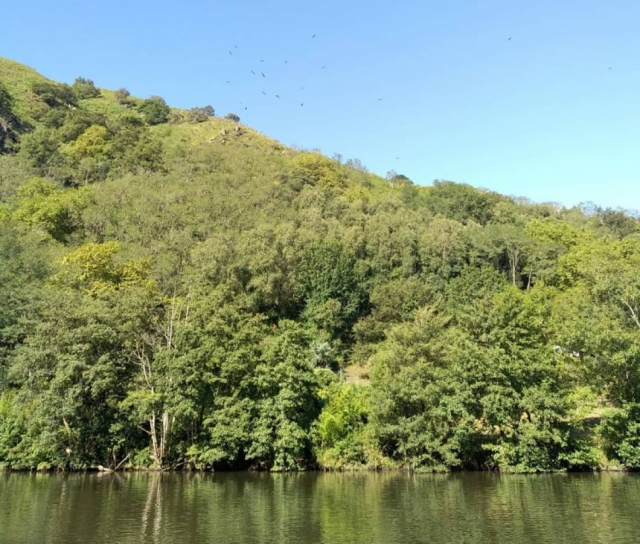  Paisaje desde el río duranle el rafting 