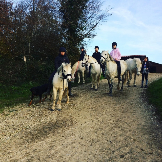  En familia o con amigos descubre la equitación 