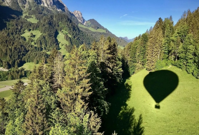 Descubra los paisajes de coníferas de la Alta Saboya