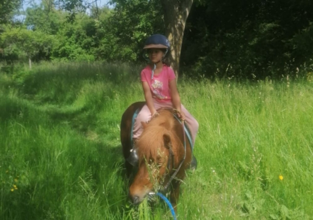  Pbaños a caballo para todas las edades en Conches-sur-Gondoire 