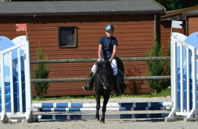  Initiation à l'équitation avec un passage d'un petit saut 
