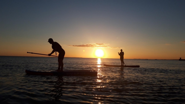 Sesión de remo al atardecer 