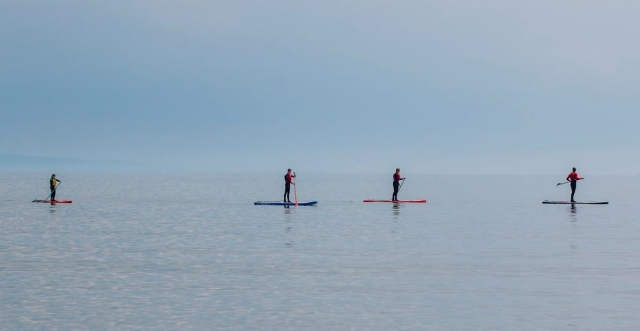  Embárcale en una aventura en familia o con amigos gracias a nuestro renta de remo 