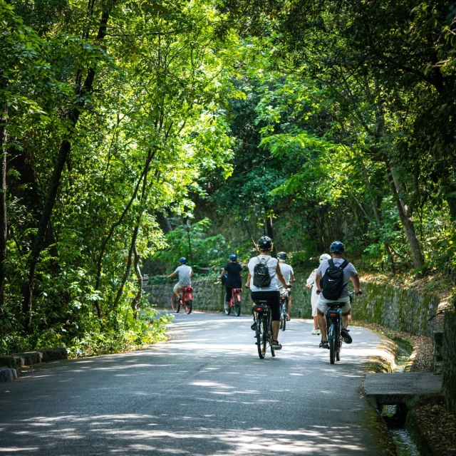  Descubrimiento de los espacios verdes de Île Rousse gracias a un paseo en bicicleta de cerro 
