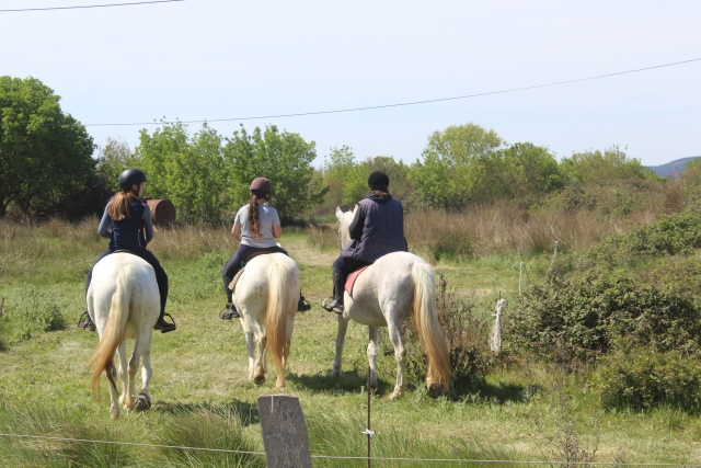 Paseo a caballo duranle 1h30