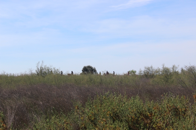 Cerca de las salinas con magníficas vistas