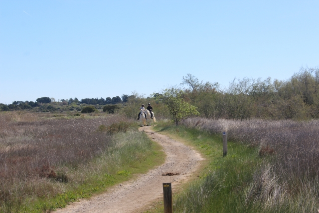 Paseo por los senderos de Hérault