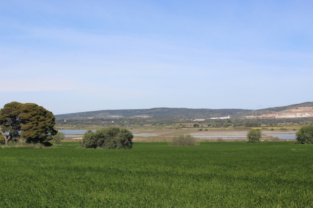 Paseo a caballo de 2,5 horas 