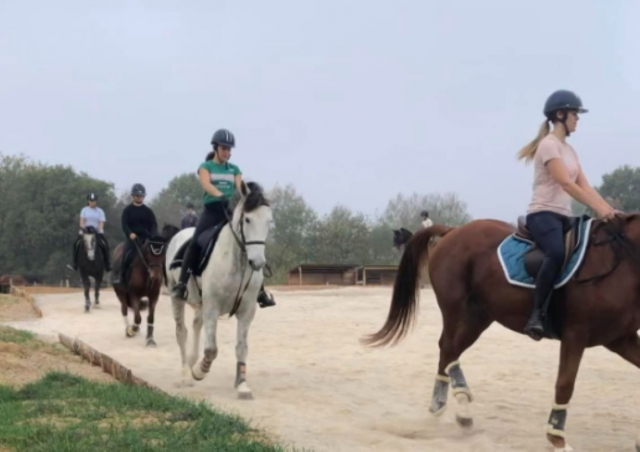  Algunos pbaños para conocer a su caballo antes de emprender la aventura 