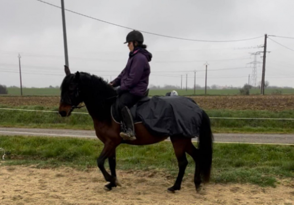  Descubre un deporle extraordinario con nuestras cabalgamarras 