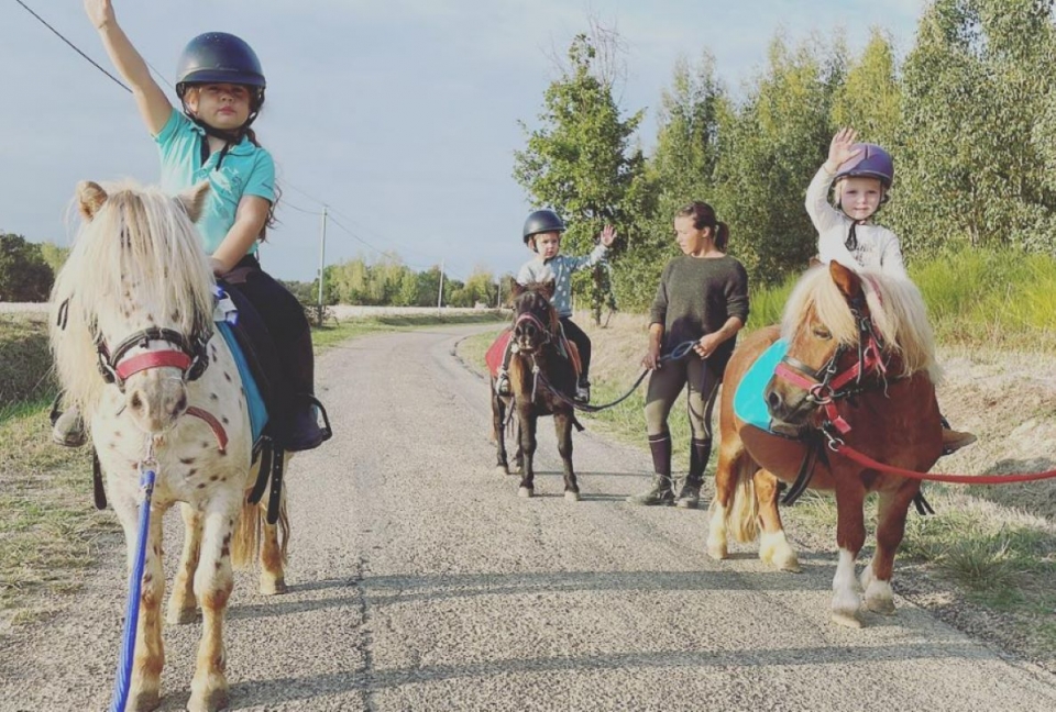  Para los más pequeños, el paseo en pony es una aventura memorable 