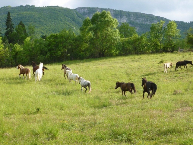  Una inmersión en la naturaleza que le hará el mayor bien
