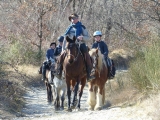 Paseo a caballo de 2 horas en Sisteron