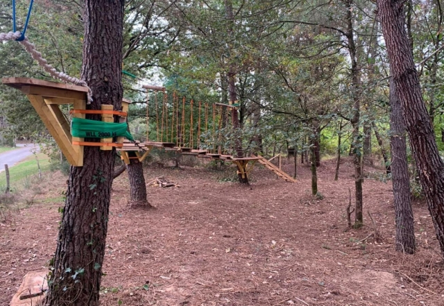  Disfrule de un momento en familia con nuestro curso de escalada de árboles accesible para todos 