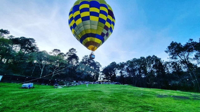 Vuela con su familia
