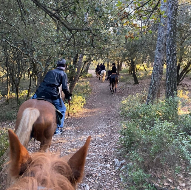  Montect on horseback accompanied by qualified monitors 