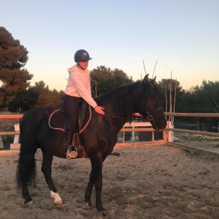 Jornada de paseo a caballo por el Macizo de l'Étoile