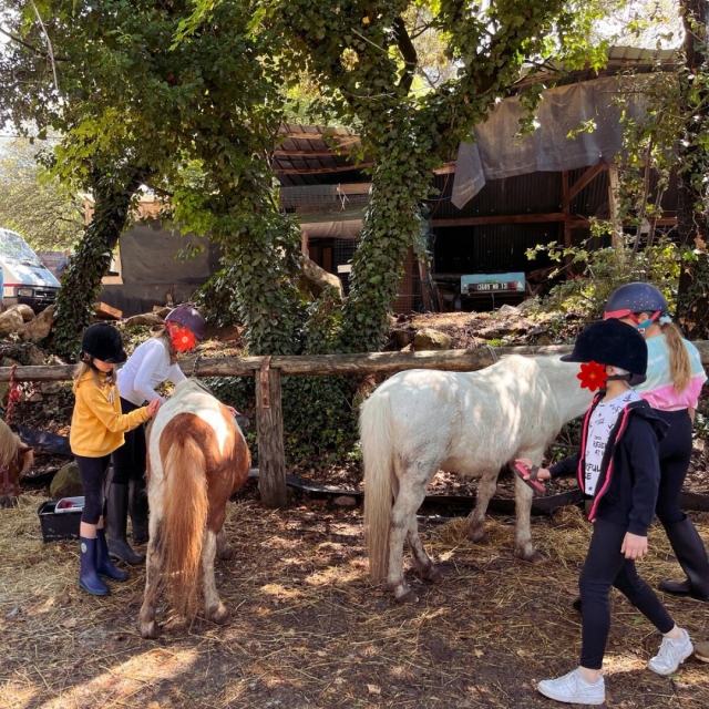  pony de vuelta para niños cerca de marsella