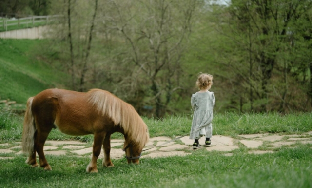  Bautismo de ponis para niños 