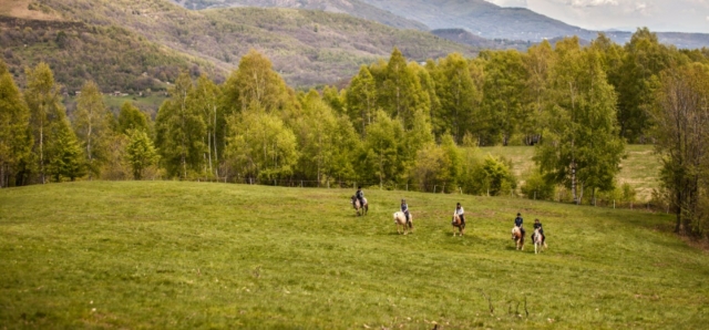  Descubre el prados duranle nuestro paseo a caballo! 