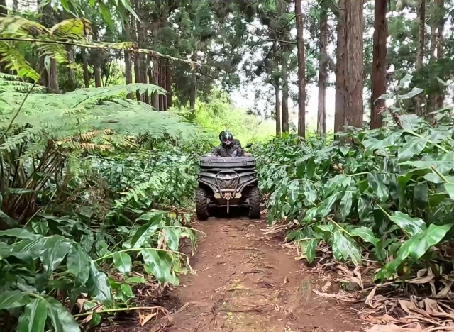  Excursión a Saint-Paul en cuatrimoto 