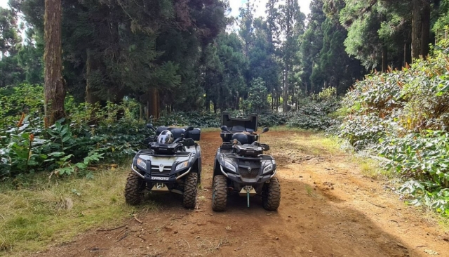  Parada en los frondosos bosques de la Reunión 