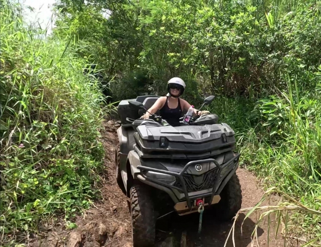  Pasa por los campos de caña de azúcar cerca de Saint-Paul 