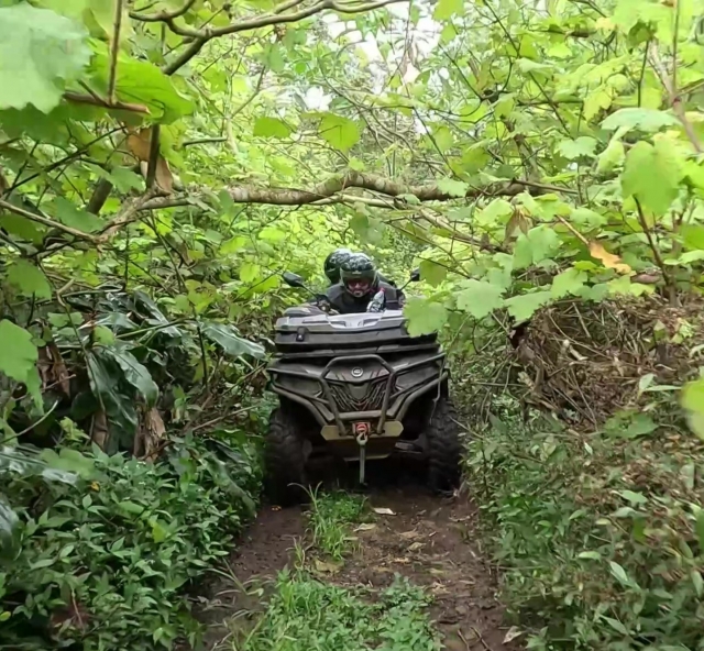  En los frondosos bosques de la Reunión 
